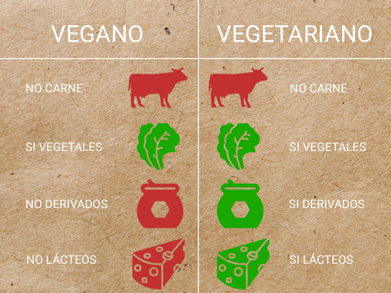 Cuál Es La Diferencia Entre Una Dieta Vegana Y Una Vegetariana La Comida Vegana 5760