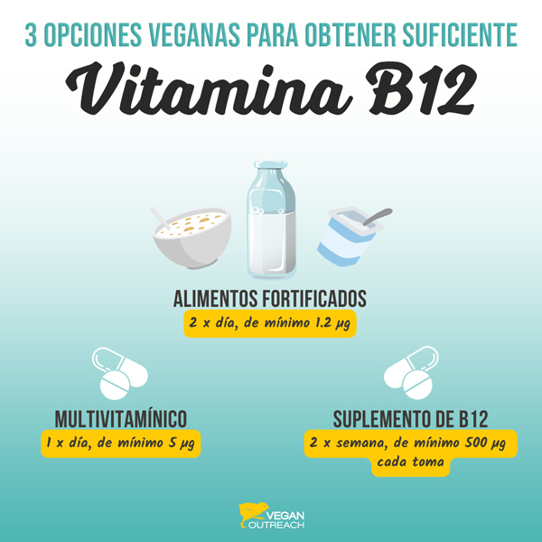 Cuáles Son Las Mejores Formas De Obtener Vitamina B12 En Una Dieta Vegana La Comida Vegana 9823