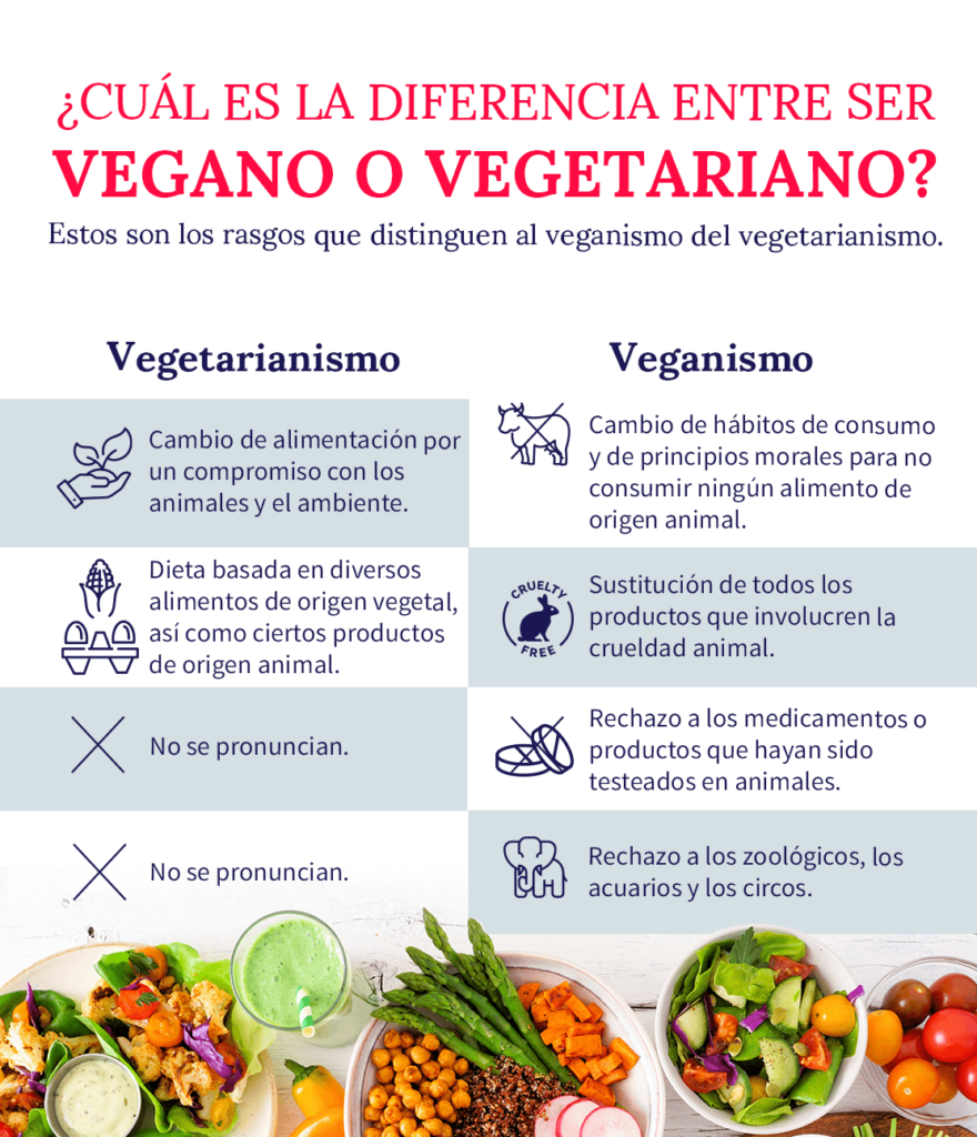 Qué Es El Veganismo Y Cuáles Son Sus Principios La Comida Vegana 7426